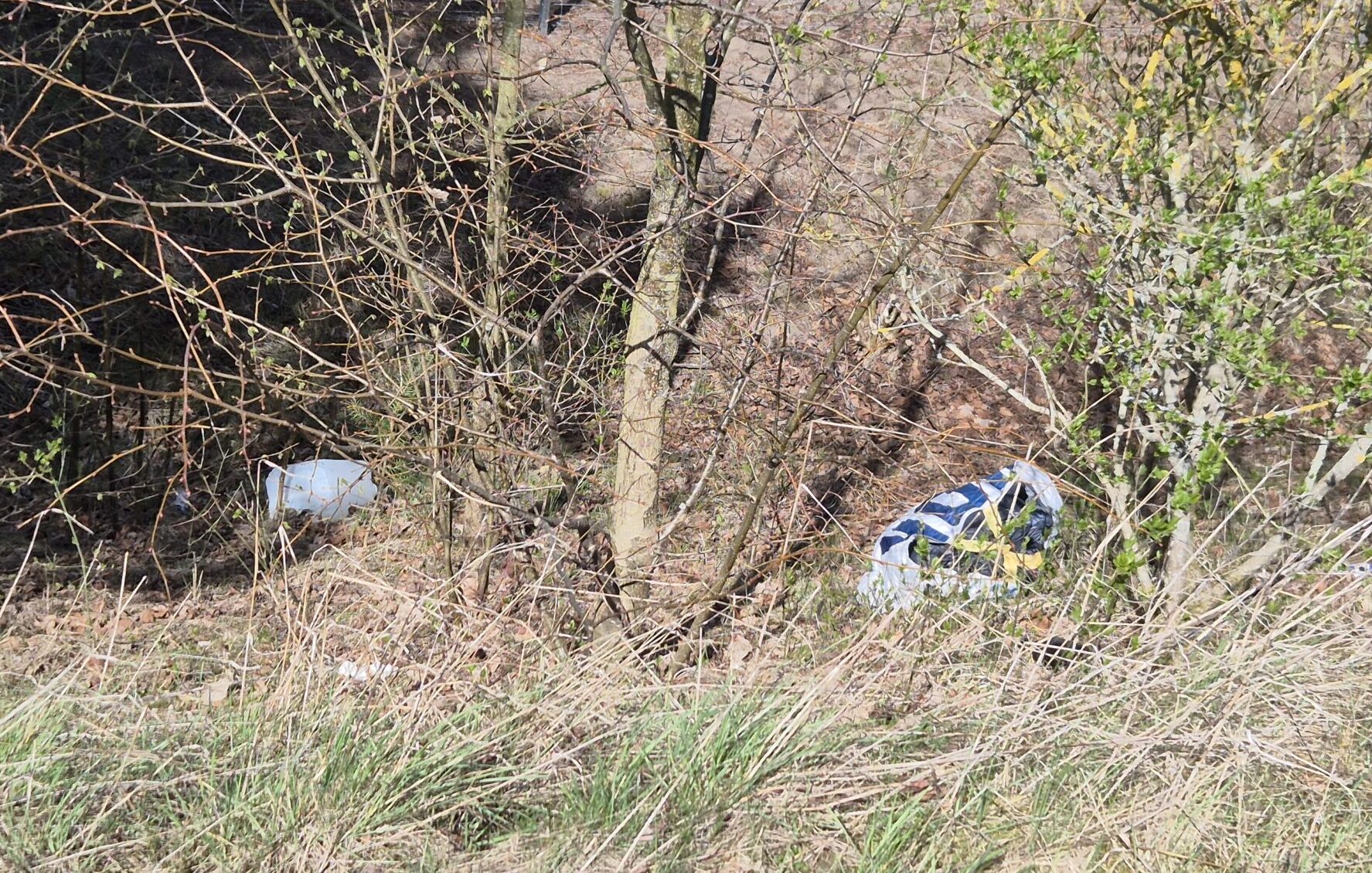 Frühjahrsputz in Uelzen: Gemeinsam für eine saubere Stadt